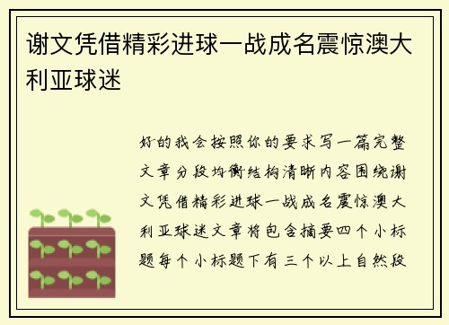谢文凭借精彩进球一战成名震惊澳大利亚球迷