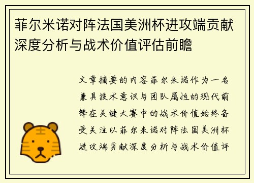 菲尔米诺对阵法国美洲杯进攻端贡献深度分析与战术价值评估前瞻